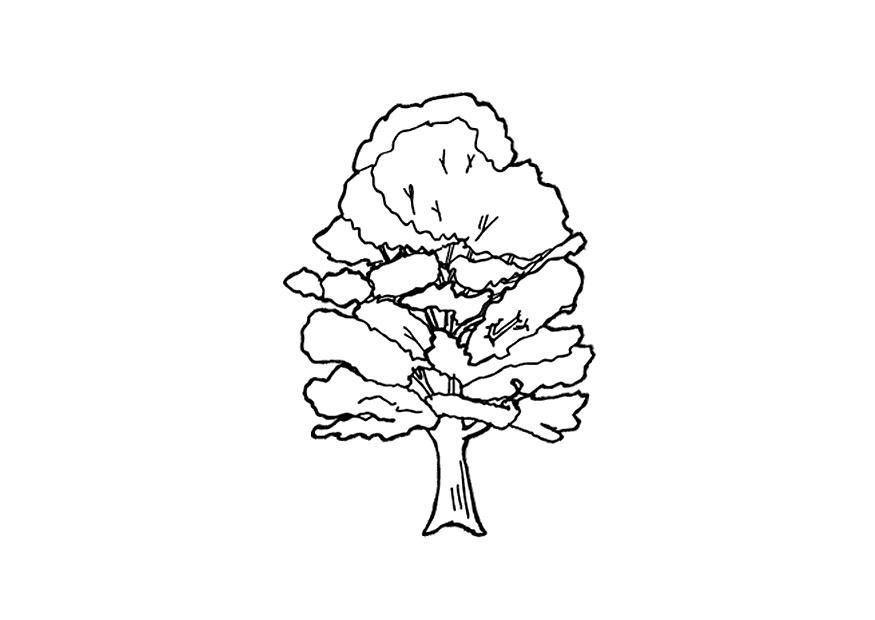 Dibujo para colorear Arbol